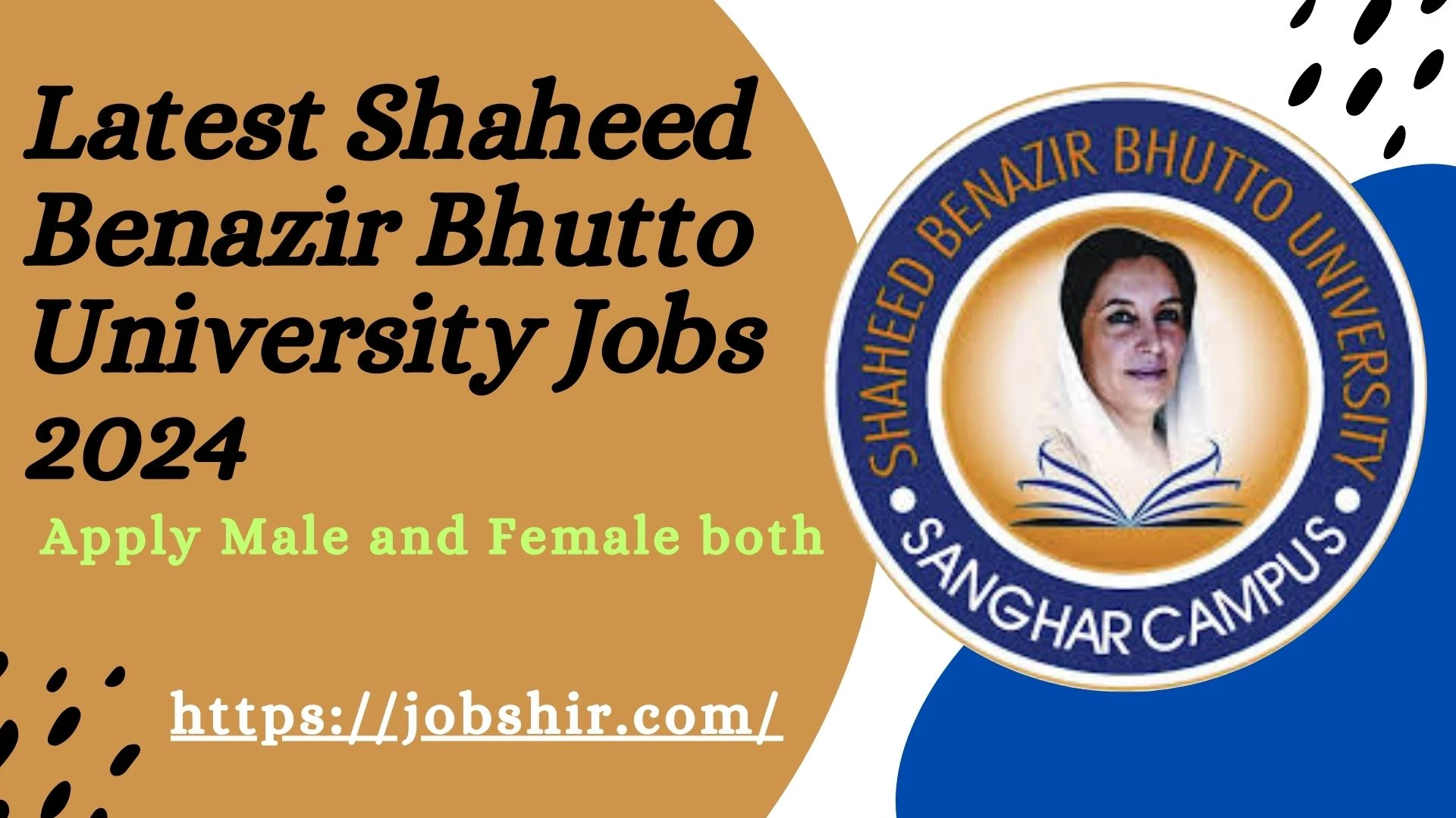 Shaheed Benazir Bhutto University Jobs October 2024