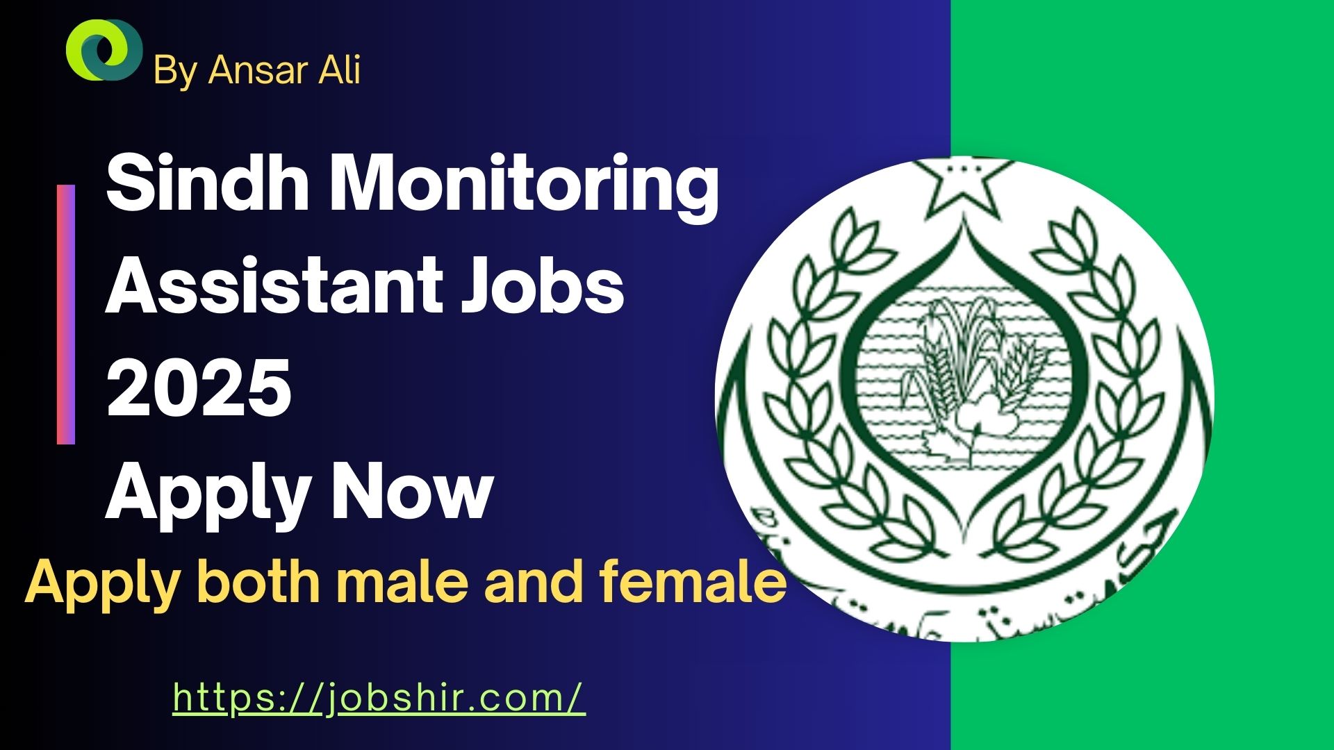 Sindh Monitoring Assistant Jobs